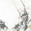 керамогранит под мрамор Prestige marble polish 600*1200